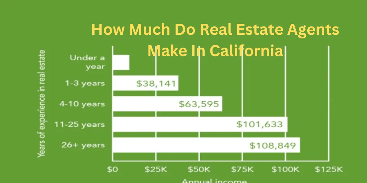 How Much Do Real Estate Agents Make In California